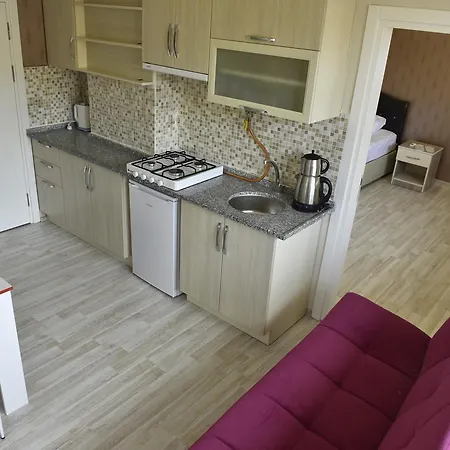 شقة فندقية سكن özlü Apart *